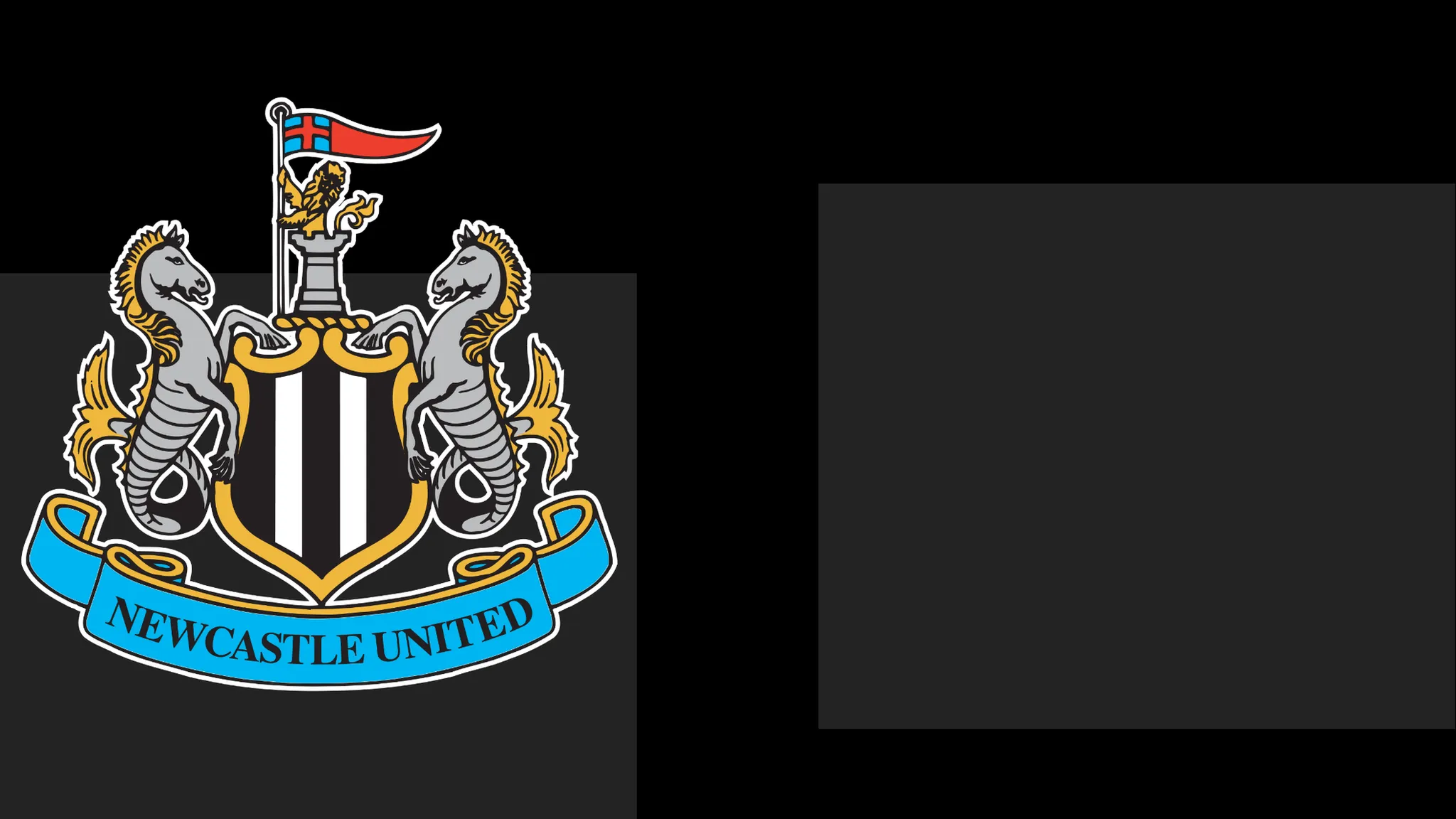 Newcastle's boss Commends Team's Heart – However It Only Takes Them This Far