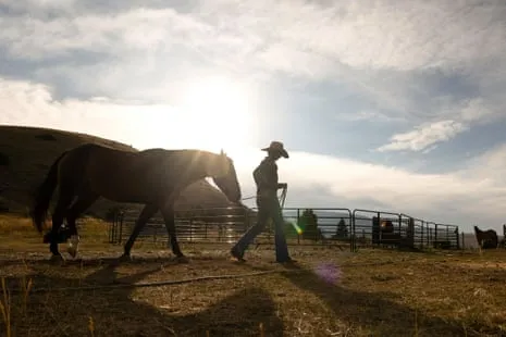 Discover the American Women Ranchers Reshaping Modern Farm Life